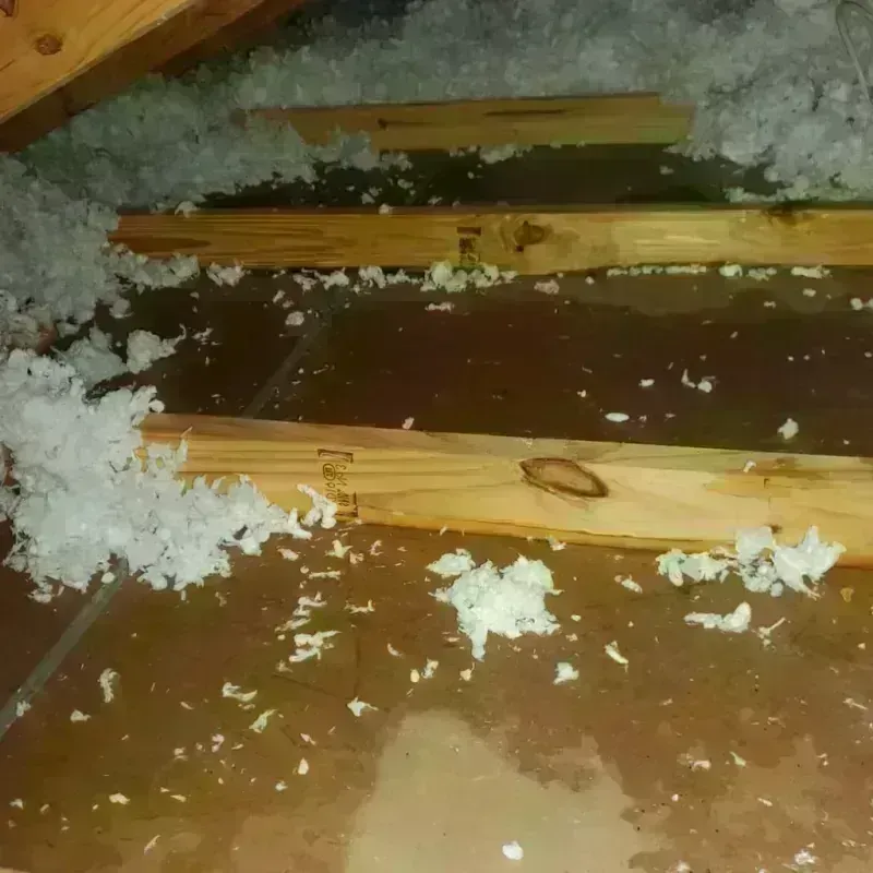 Attic Water Damage in Wilbarger County, TX