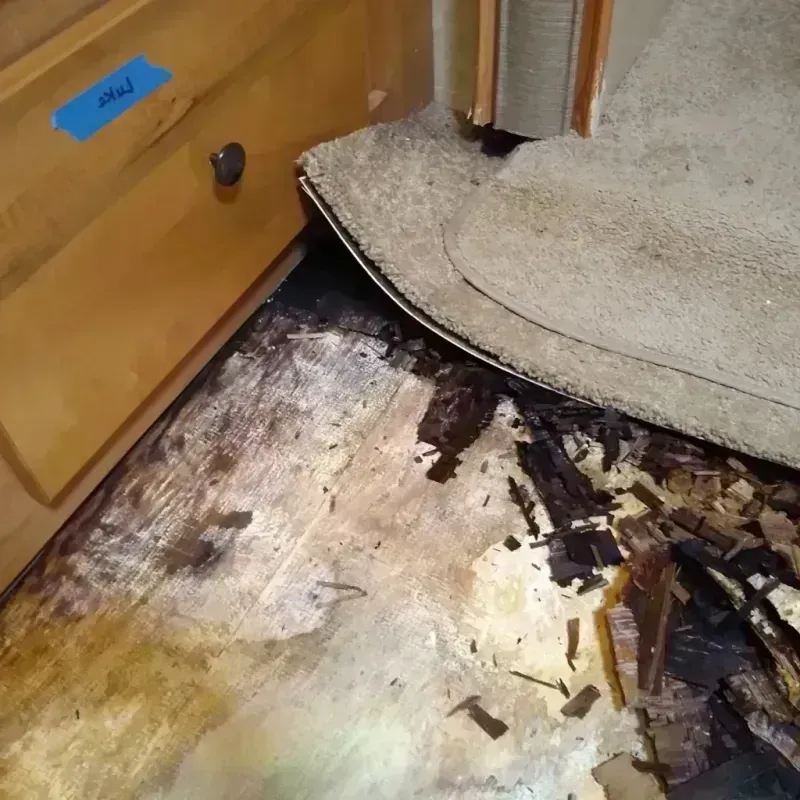 Best Wood Floor Water Damage Service in Wilbarger County, TX